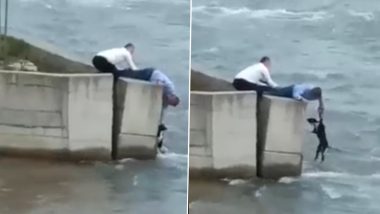 Watch: Viral Video of Man Skipping Wedding Party to Rescue a Dog From Overflowing River is Guaranteed To Warm Hearts
